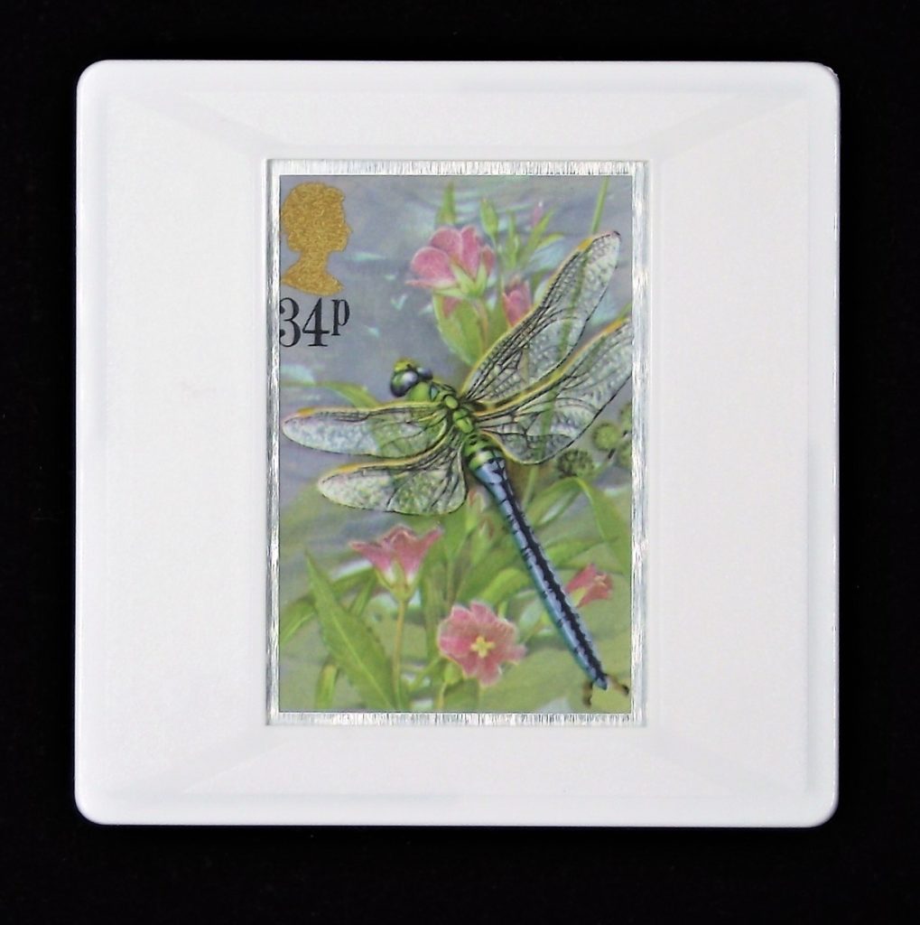 Dragonfly brooch - (Ana imperator)

