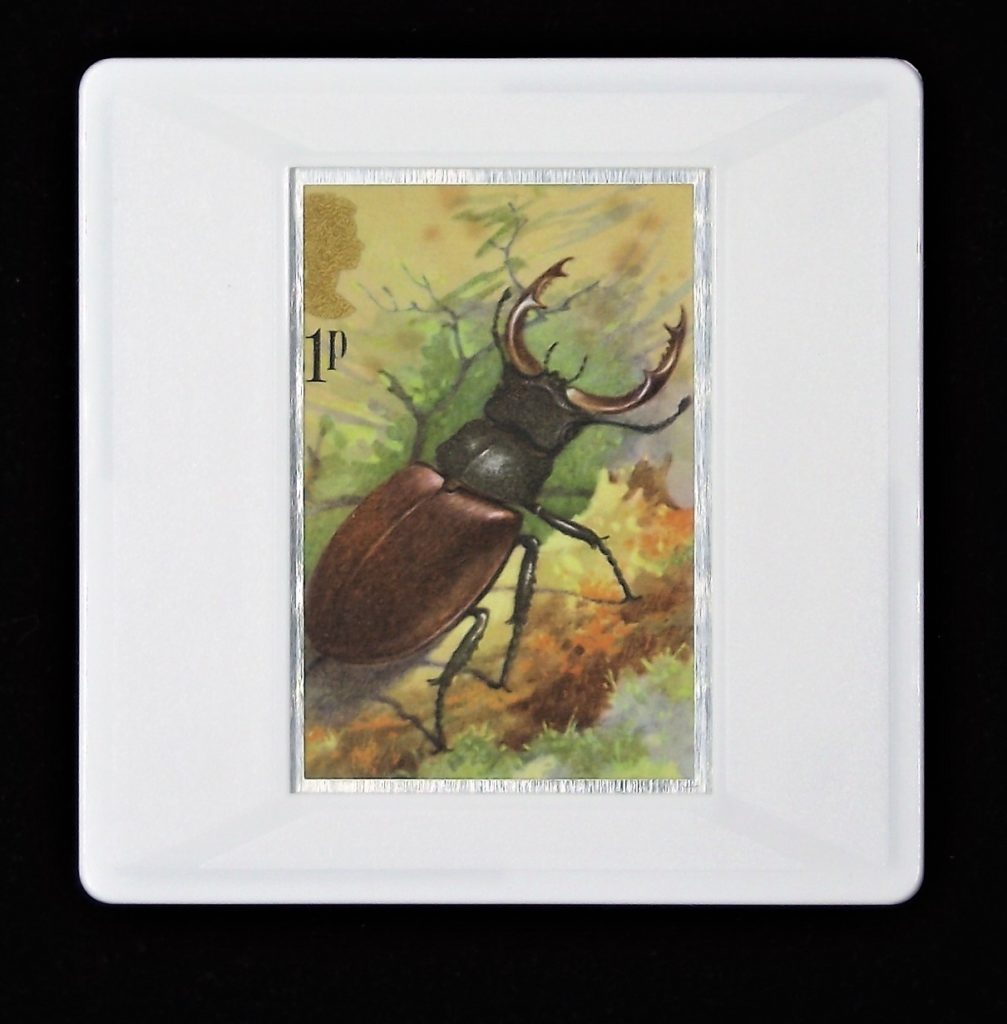 Stag Beetle brooch - (Lucanus cervus)
